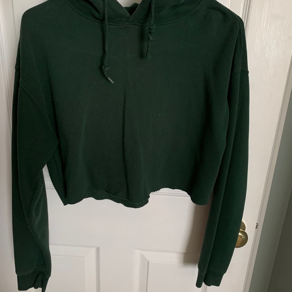 Urban outfitters cropped hoodie